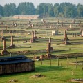 20120926_birkenau_zwyzka_1d